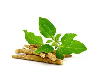 Ashwagandha Extract